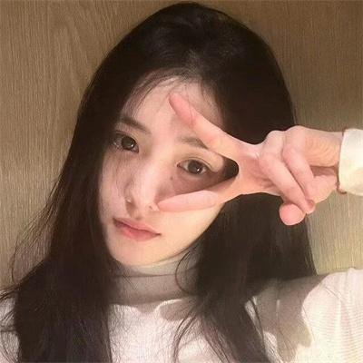 胭脂虎新传
